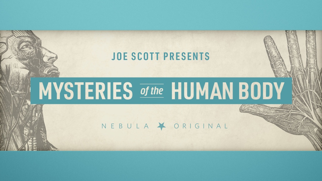 Joe Scott Presents: Mysteries of the Human Body