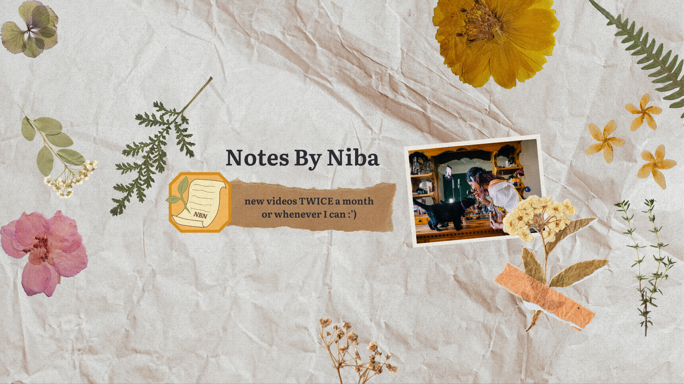 NotesByNiba