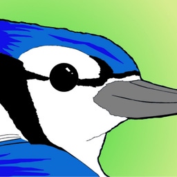 Jos&eacute;